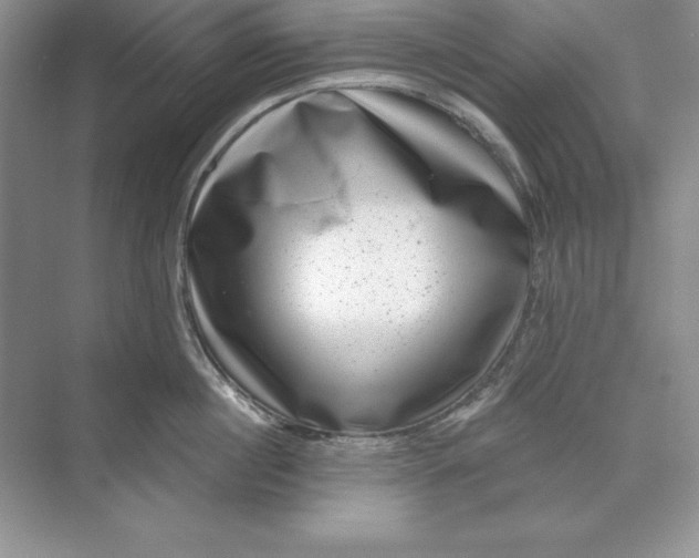 X0000071340860200607071656