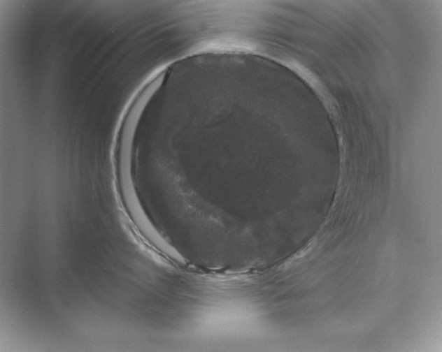 X0000071340864200607071656