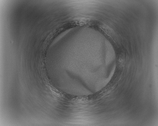 X0000071340865200607071655
