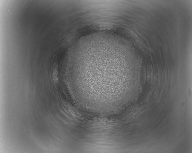 X0000071340866200607071655