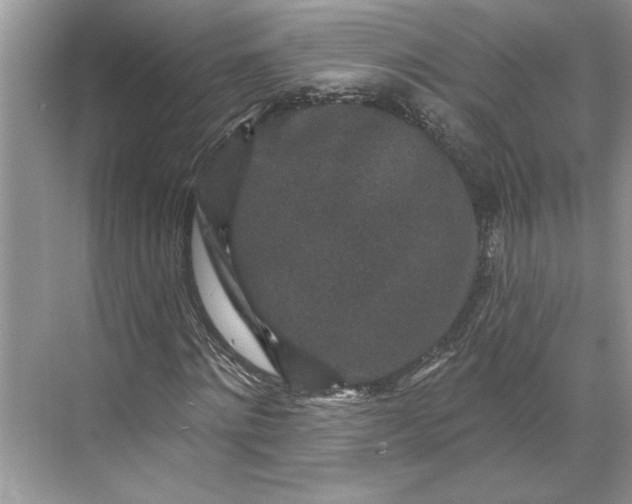 X0000071340868200607071655