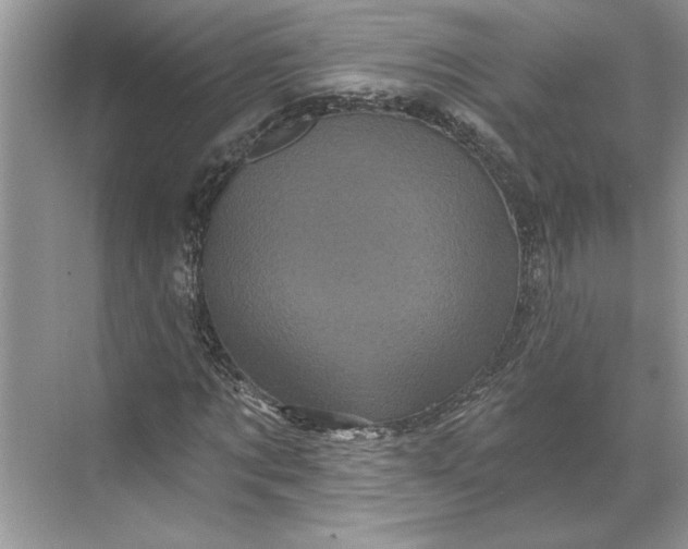 X0000071340869200607071655