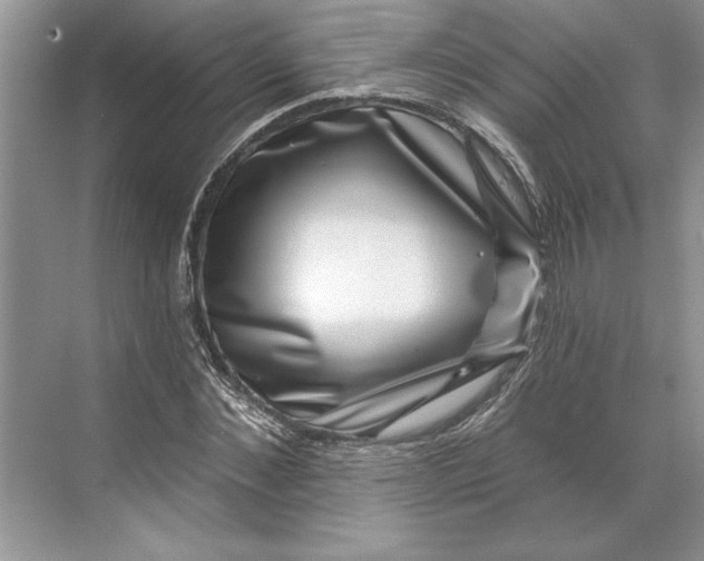 X0000071340876200607071655