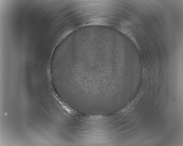 X0000071340882200607071655
