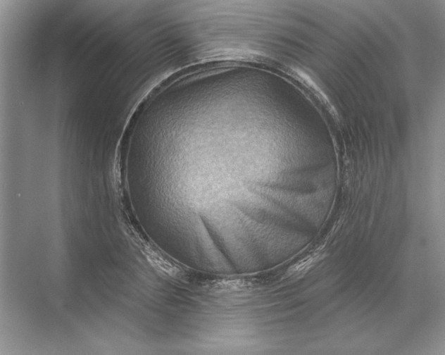 X0000071340883200607071655