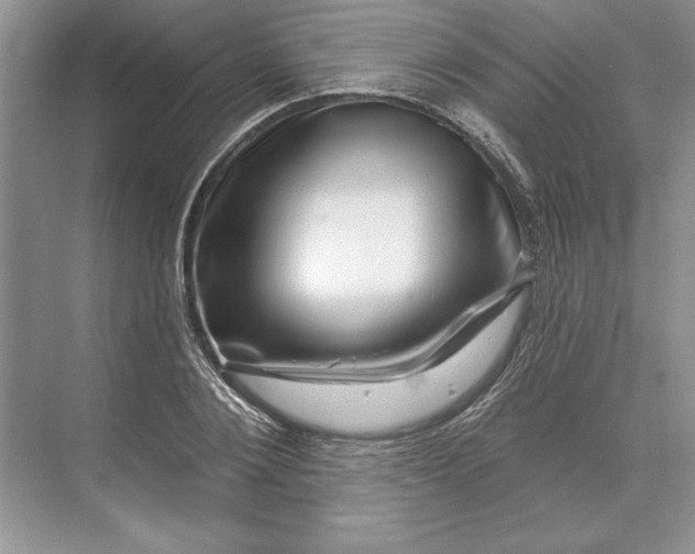 X0000071340884200607071655