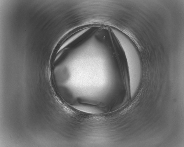X0000071340888200607071655
