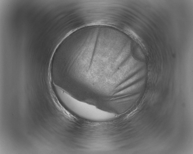 X0000071340892200607071655