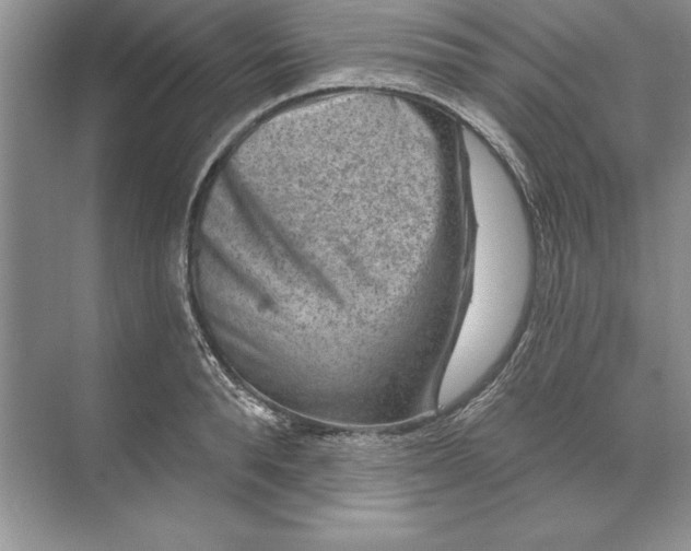 X0000071340896200607071655