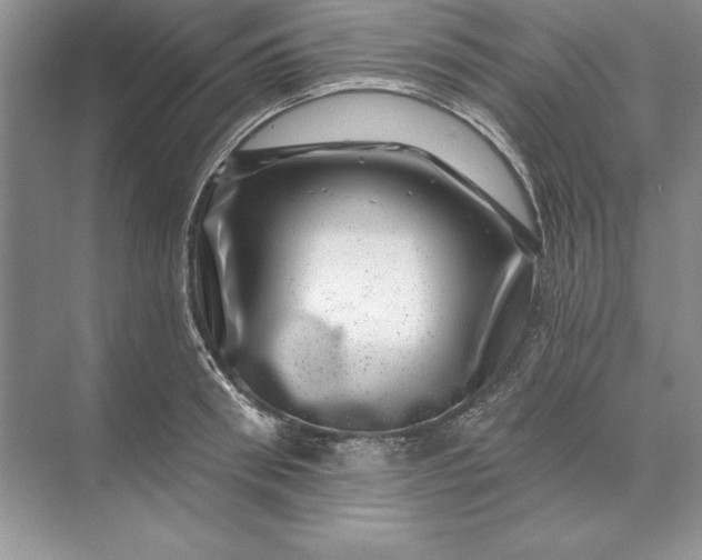 X0000071340898200607071655