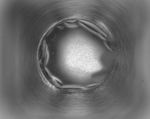 X0000071340900200607071655