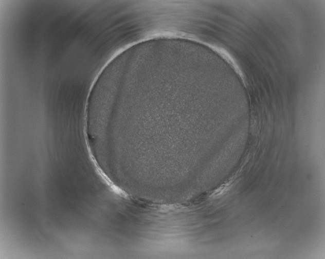 X0000071340903200607071655