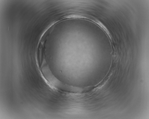 X0000071340909200607071655