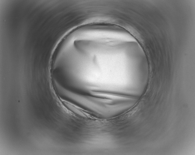X0000071340912200607071655
