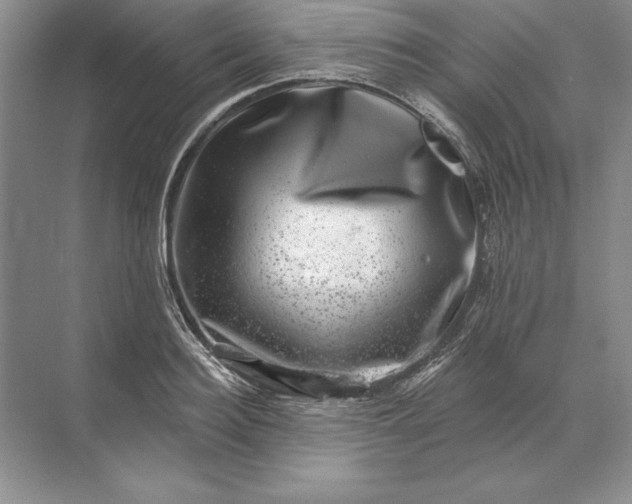 X0000071340940200607071654