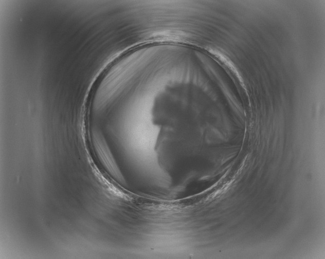 X0000071340941200607071654