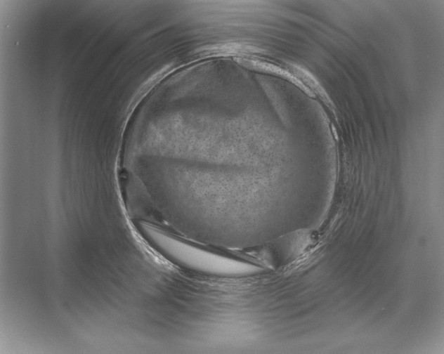 X0000071340946200607071654