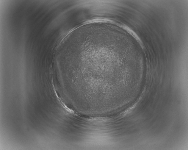 X0000071340953200607071655