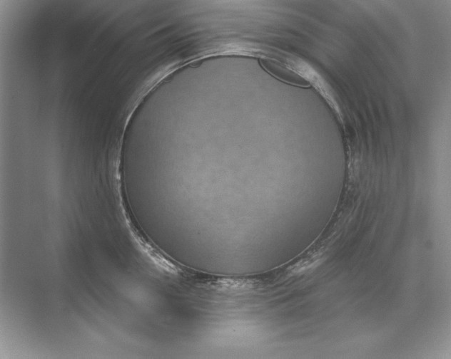 X0000071340954200607071655