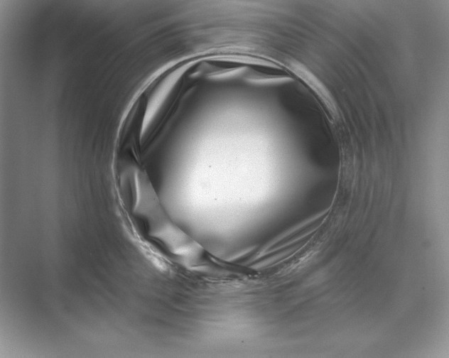 X0000071340956200607071655