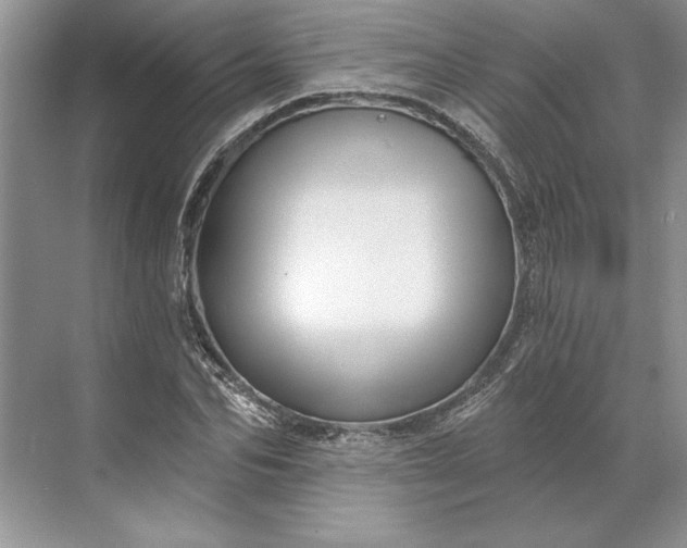 X0000071340974200607071654