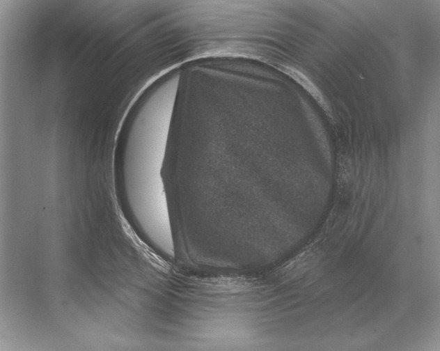 X0000071340980200607071654