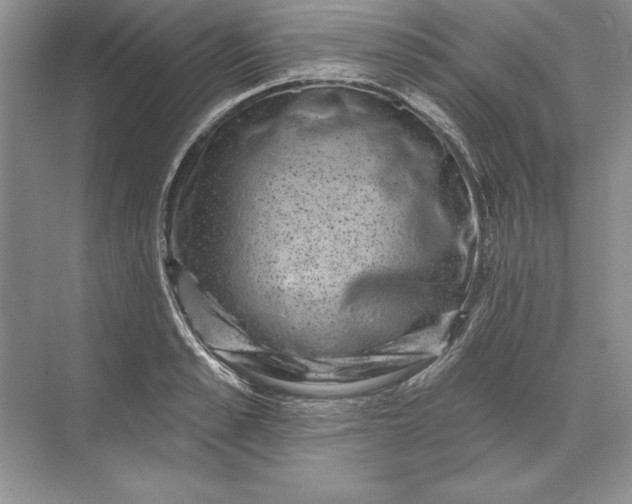 X0000071340989200607071653