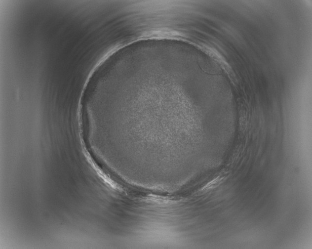 X0000071340990200607071653