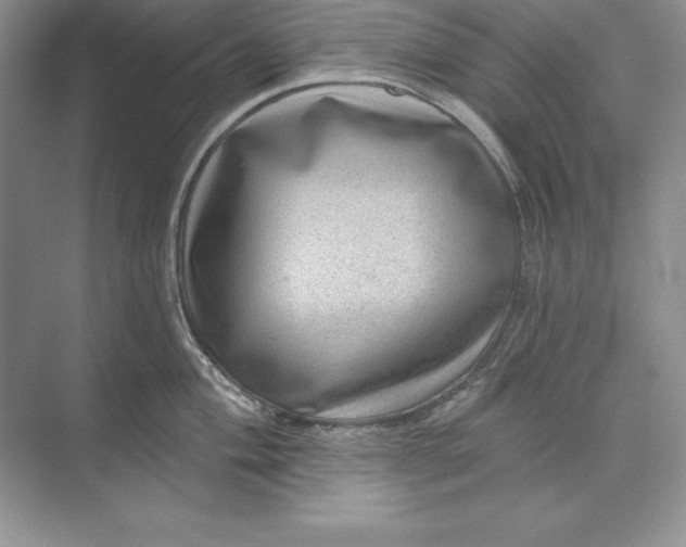X0000071341004200607071653