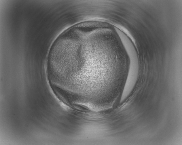 X0000071341007200607071653