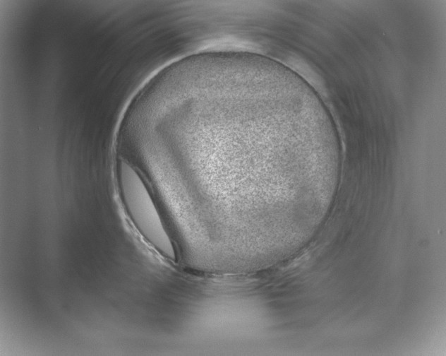 X0000071341008200607071653