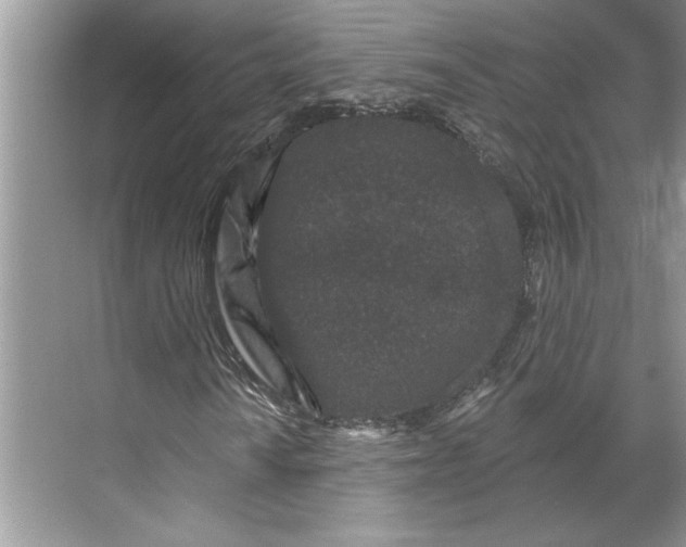 X0000071341010200607071652