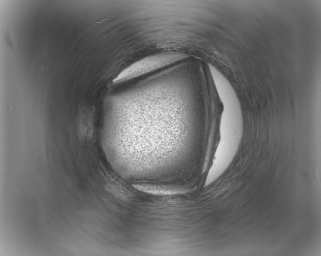 X0000071341012200607071652