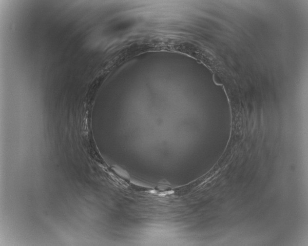 X0000071341013200607071652