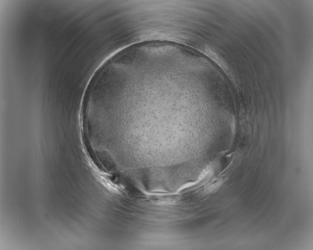 X0000071341028200607071653