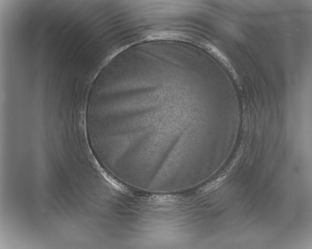 X0000071341041200607071653