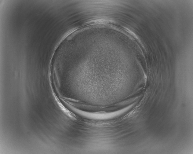 X0000071341042200607071653