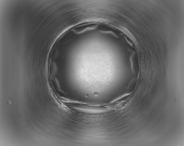 X0000071341044200607071653