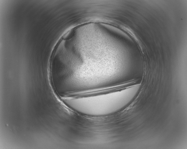 X0000071341048200607071653