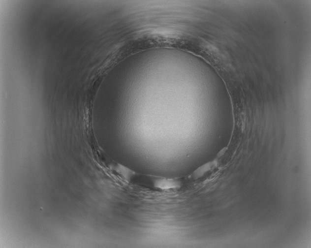X0000071341061200607071652