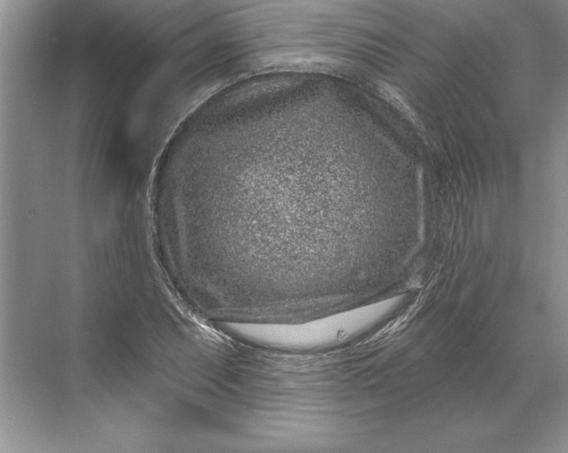 X0000071341071200607071652