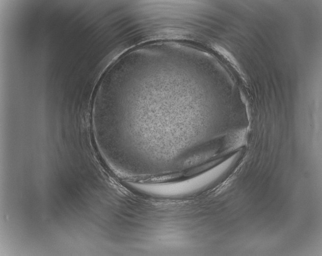 X0000071341081200607071652