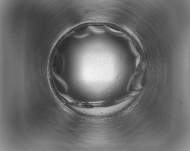 X0000071341085200607071652