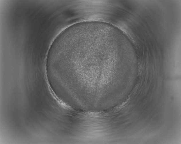 X0000071341086200607071652