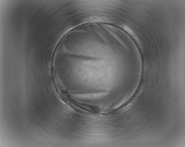 X0000071341089200607071652