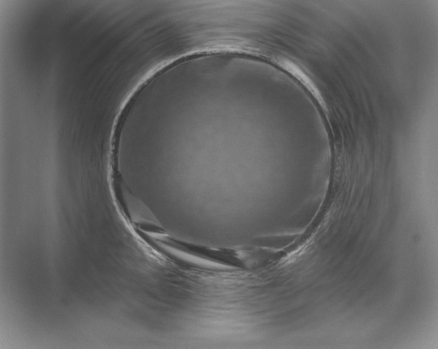 X0000071341093200607071652