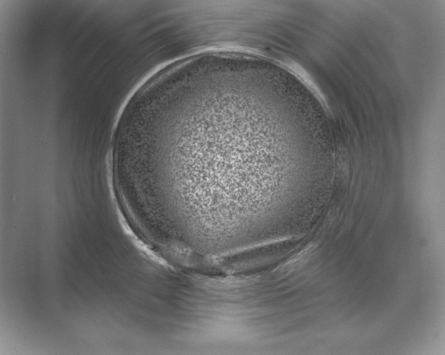 X0000071341100200607071652