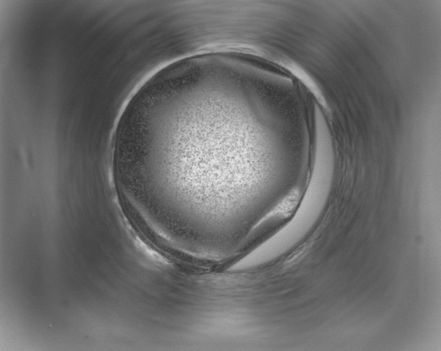 X0000071341102200607071652
