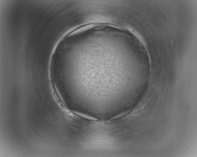 X0000071341104200607071651