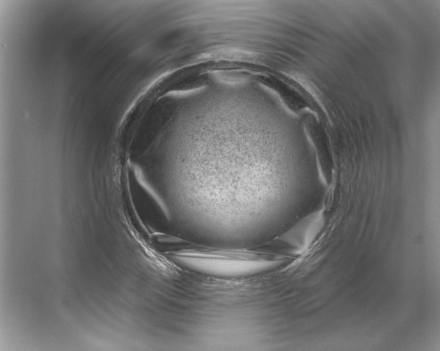 X0000071341115200607071651
